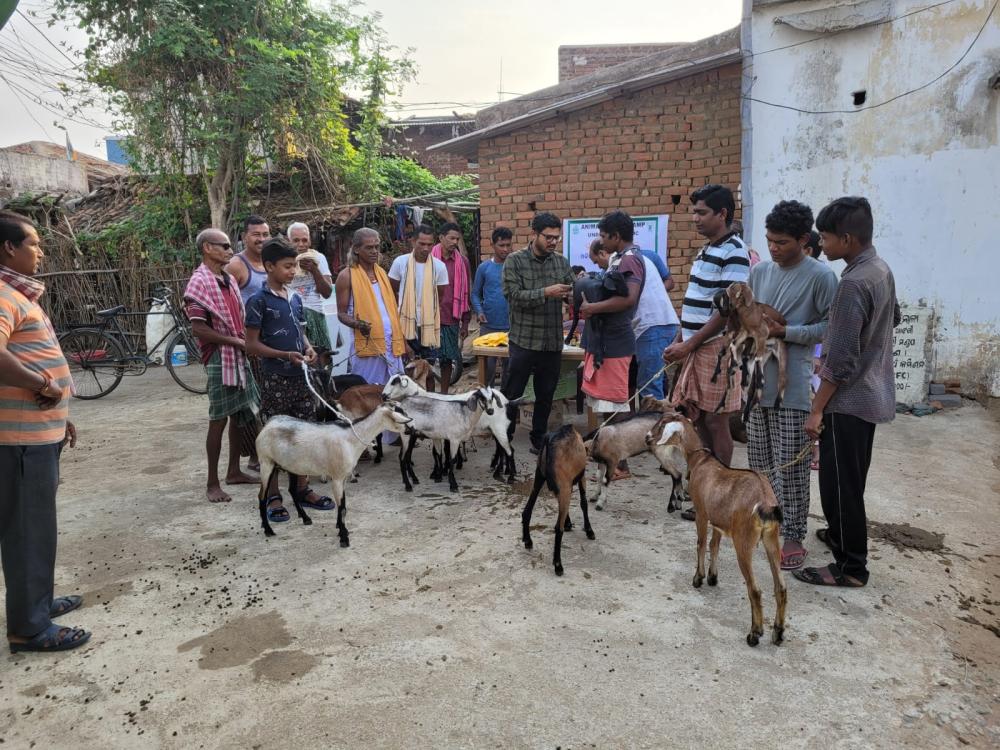Krishi Vigyan Kendra, Bolangir