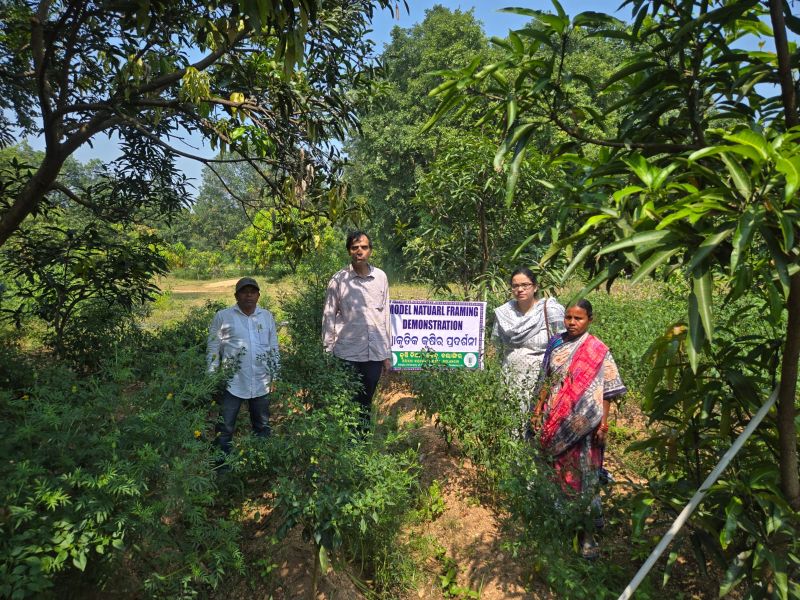 Krishi Vigyan Kendra, Bolangir
