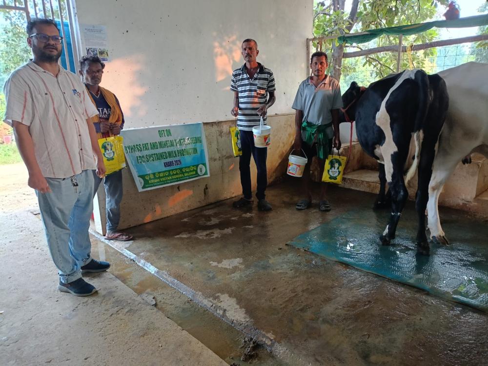Krishi Vigyan Kendra, Bolangir