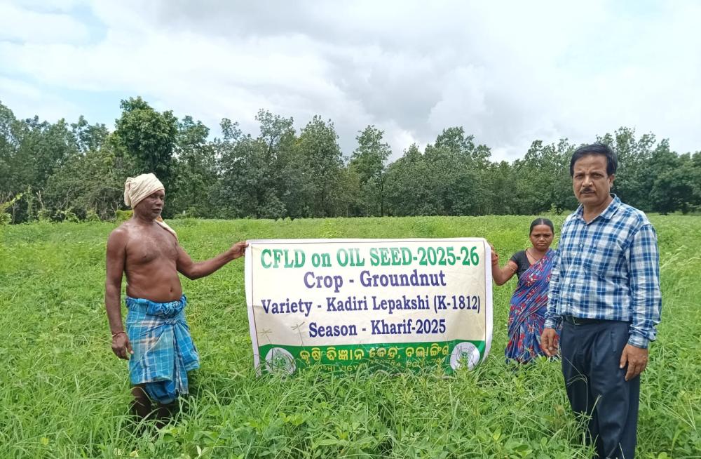 Krishi Vigyan Kendra, Bolangir