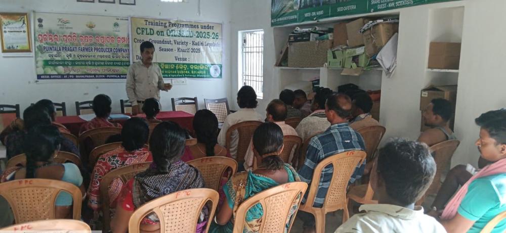 CFLD : OILSEED & PULSES